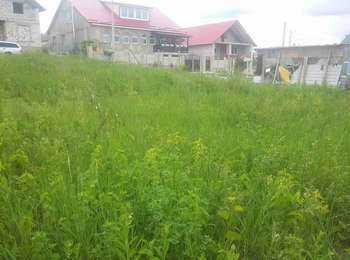 Vând teren pentru construcții, 7 ari, Cricova, intrarea în oraș